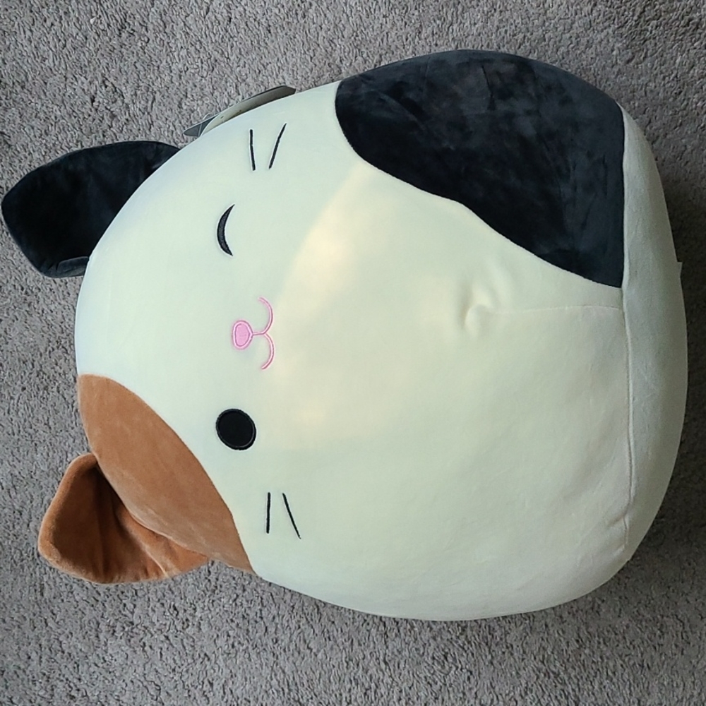Cam squishmallow